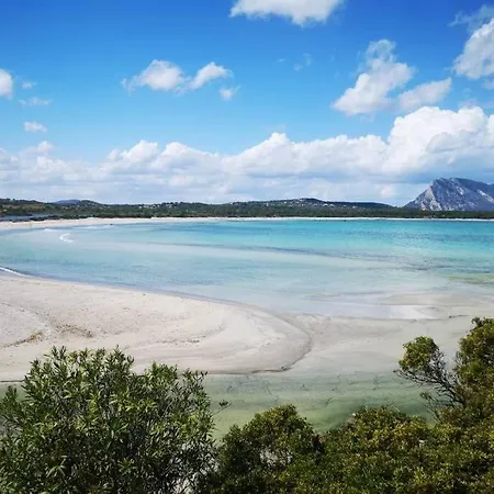 Ristrutturato, Con Patio, 6 Posti San Teodoro (Sardinia)